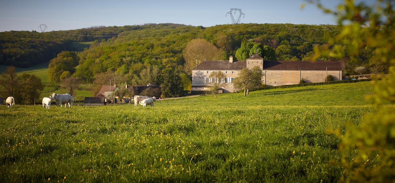 Les Maisons Vigneronnes Ozenay Kültér fotó